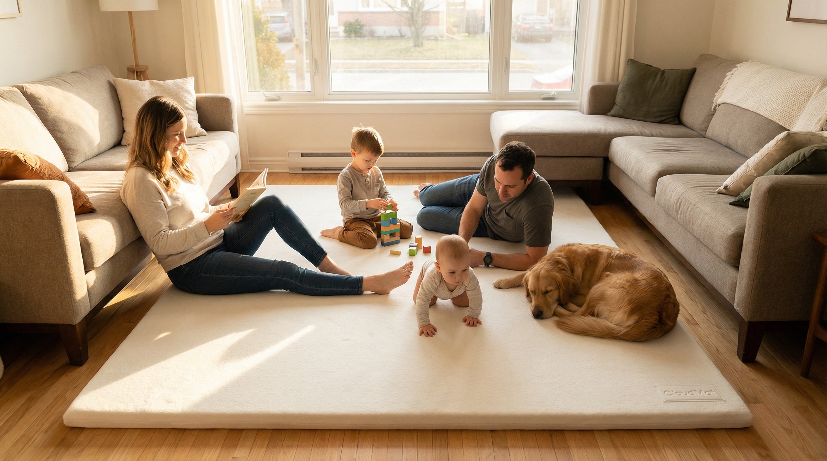 White rug brightening minimalist space with natural light